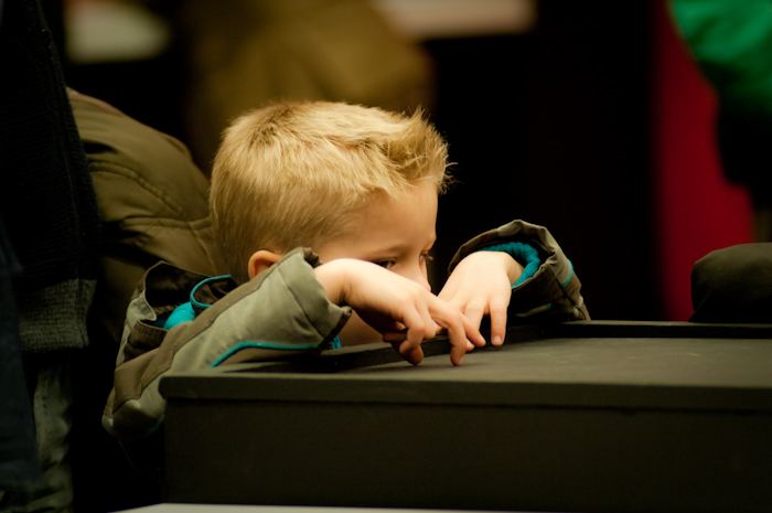 Young spectator